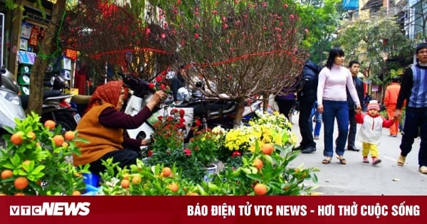 Hà Nội có 89 điểm chợ hoa xuân phục vụ Tết Tân Sửu 2021