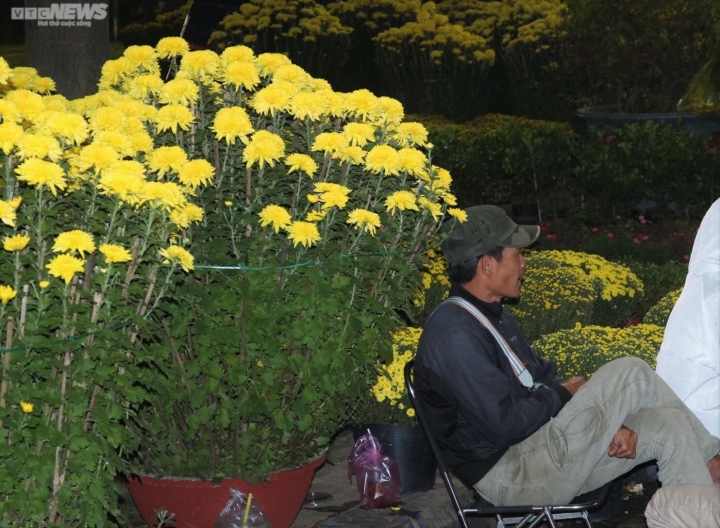 Đêm muộn 29 Tết, tiểu thương gắng gượng ngồi trong gió rét ngóng khách mua hoa - 2