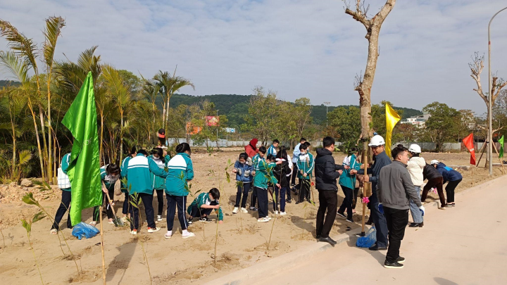 Khu đô thị Halong Marina trồng 500 cây xanh hưởng ứng Tết trồng cây - 4