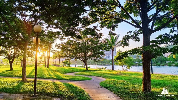 Khu đô thị Halong Marina trồng 500 cây xanh hưởng ứng Tết trồng cây - 6