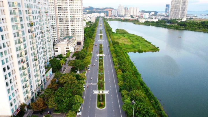 Khu đô thị Halong Marina trồng 500 cây xanh hưởng ứng Tết trồng cây - 8